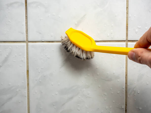 Best Black Mold Removal  in Toona, AL