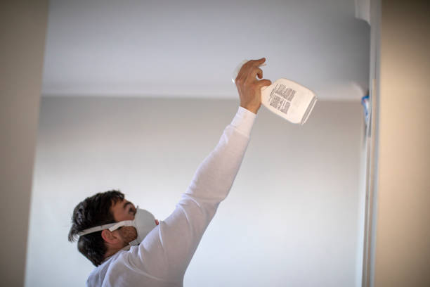 Best Mold Cleaning Services  in Toona, AL