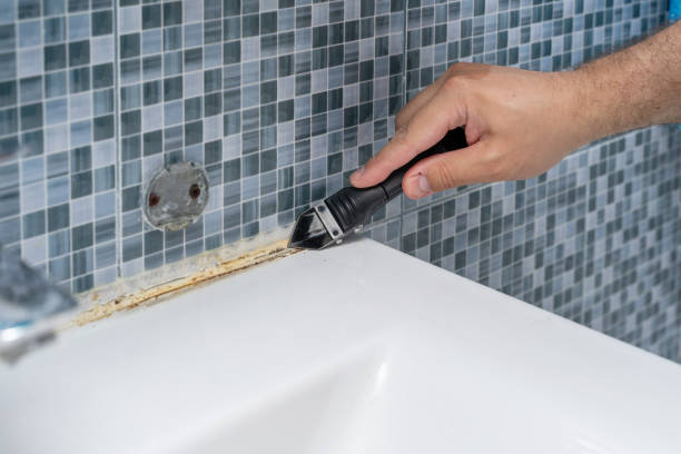 Best Office Mold Removal Services  in Toona, AL