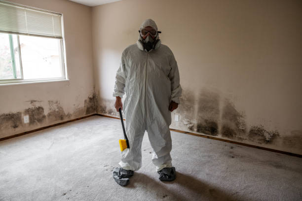 Best Certified Mold Removal  in Toona, AL